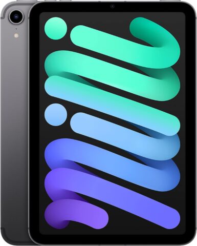 iPad Mini 6 2021 Ricondizionato